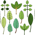 BTS投注策略稳定运行版-BTS投注策略官方手机版APP登录IOS/安卓/网页版/下载